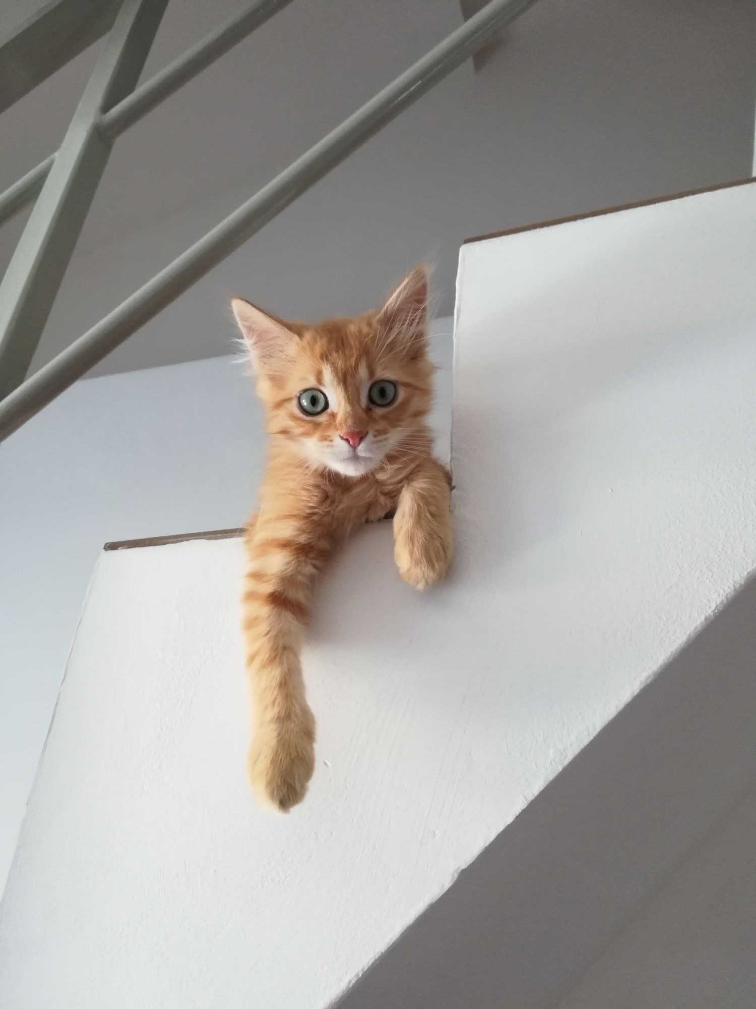 Romeo